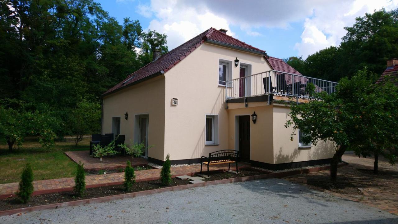 Apartamento Haus Waldidyll Lauta Exterior foto